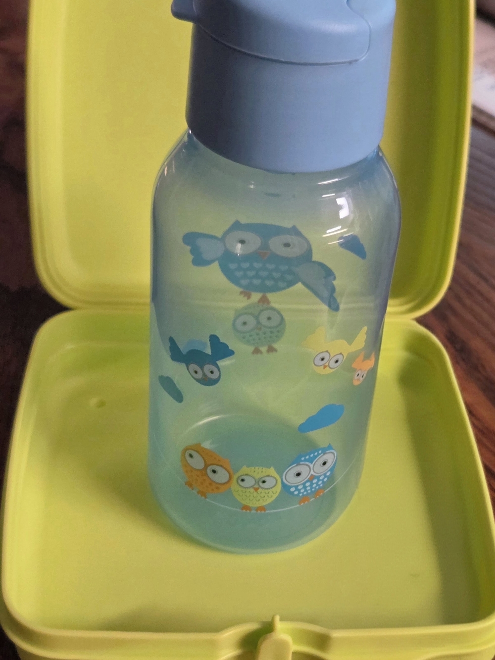 TUPPERWARE OWL ADVENTURE KIDS SET/2 PIECE